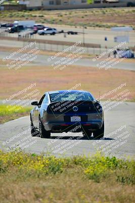 media/Apr-27-2024-LA Shelby Club (Sat) [[ca61902bd2]]/White Group/Session 1 (Turn 2)/